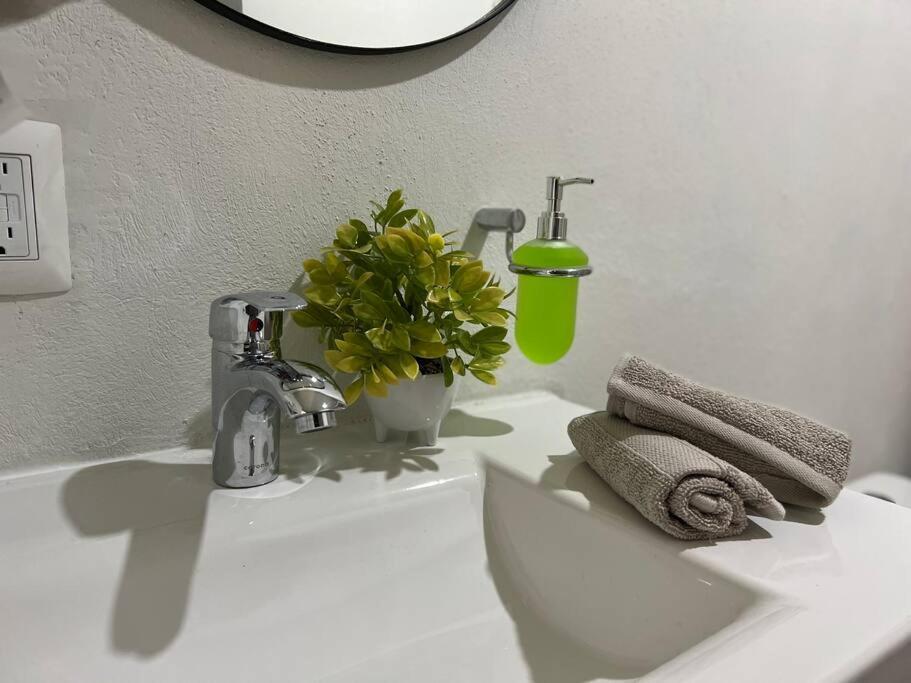 Depa Boho Al Sur Pet Friendly Piscina Gym Sala De Cine Apartamento Guadalajara Exterior foto